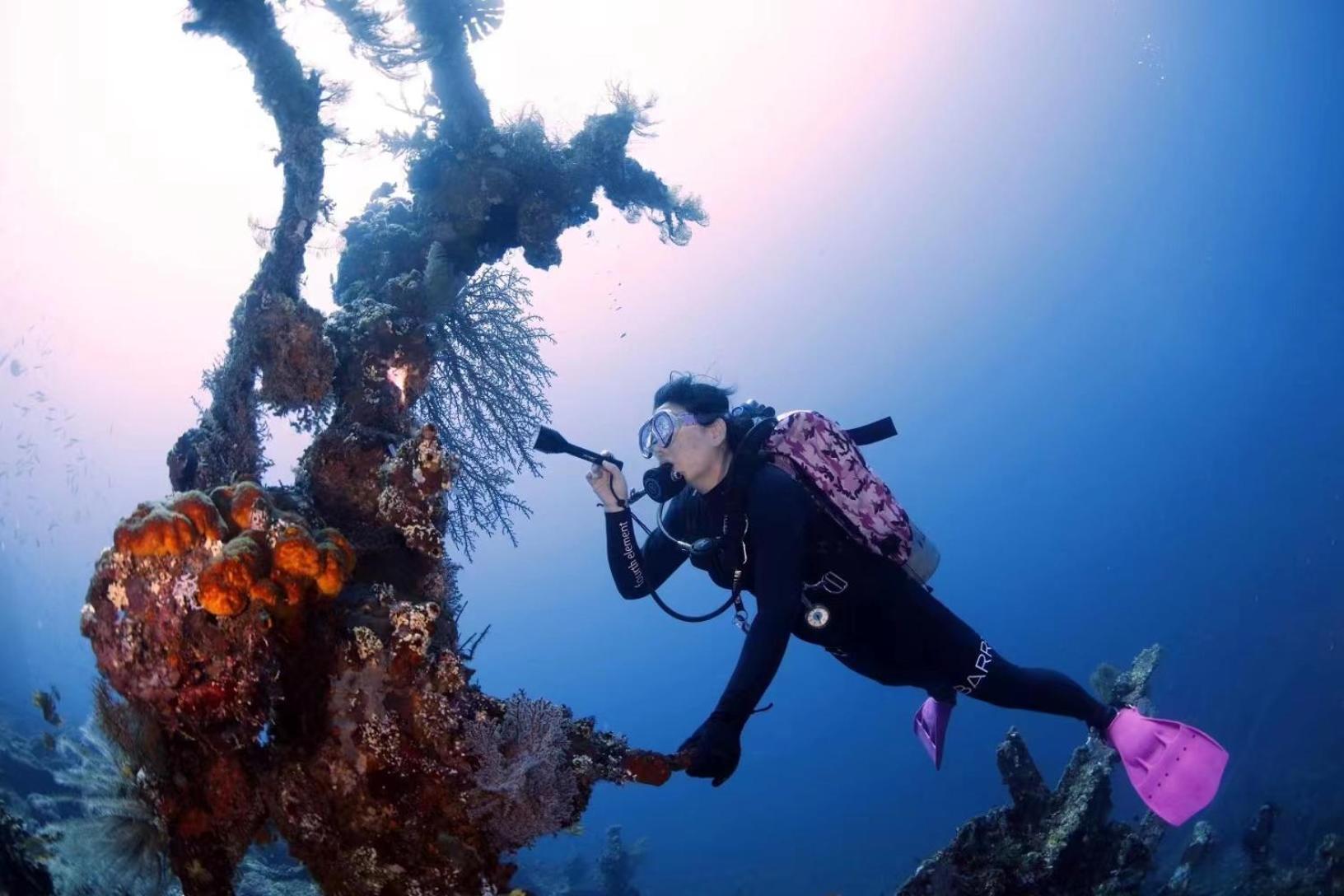 Villa Alba Bali Dive Resort Tulamben Εξωτερικό φωτογραφία