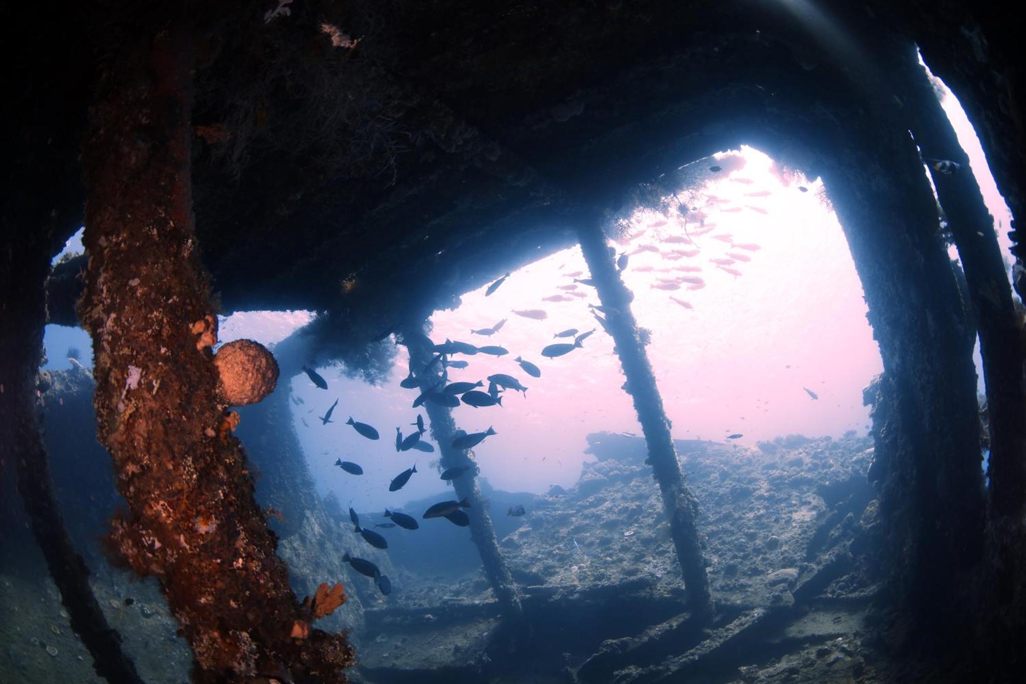 Villa Alba Bali Dive Resort Tulamben Εξωτερικό φωτογραφία
