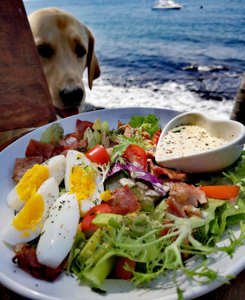 Villa Alba Bali Dive Resort Tulamben Εξωτερικό φωτογραφία